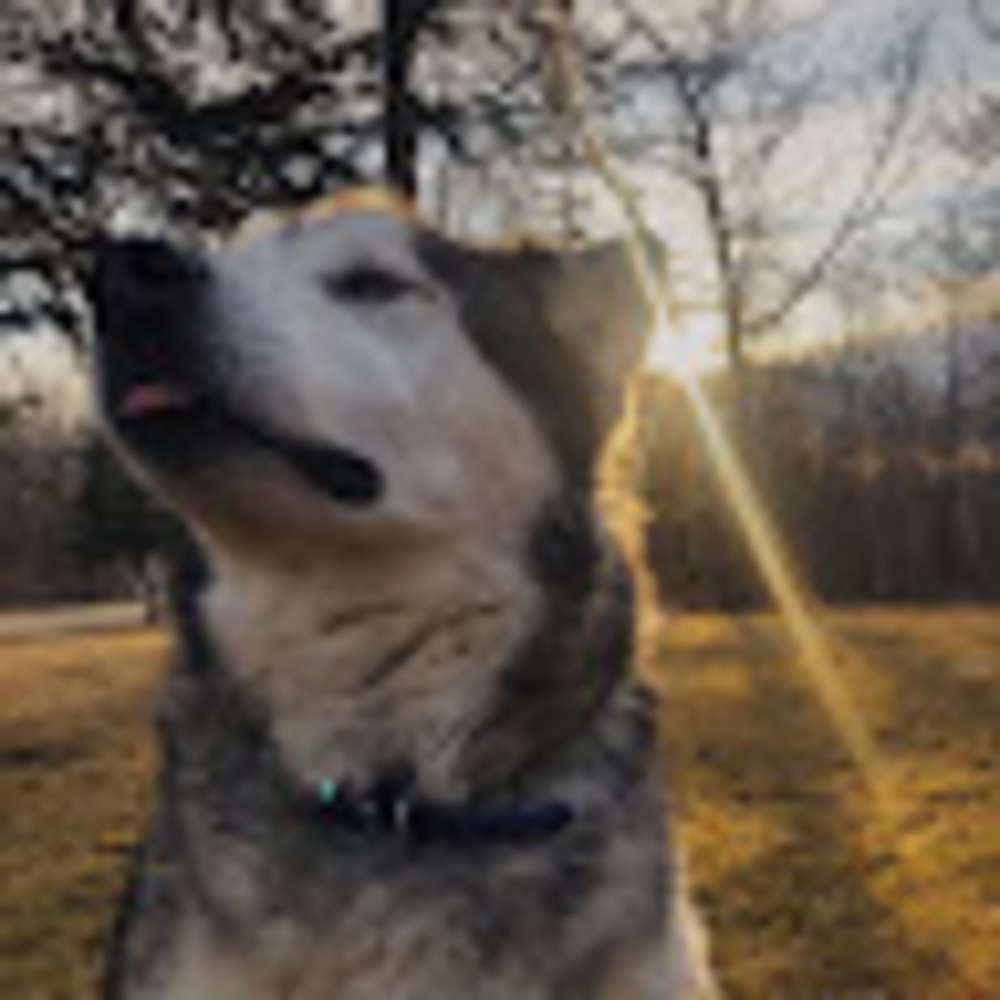 Meet your Posher, Ella